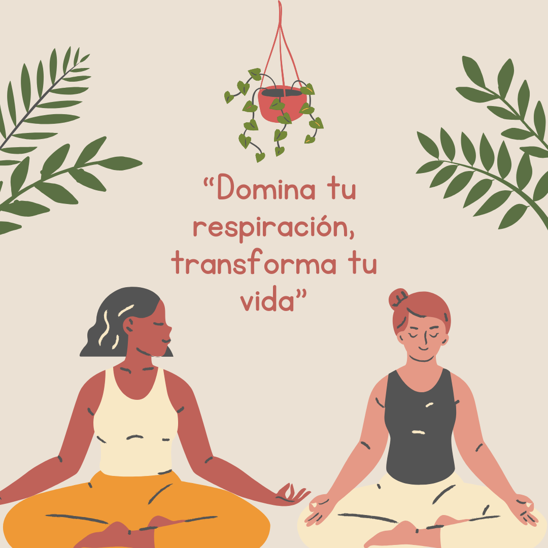 🌀 Clase Básica